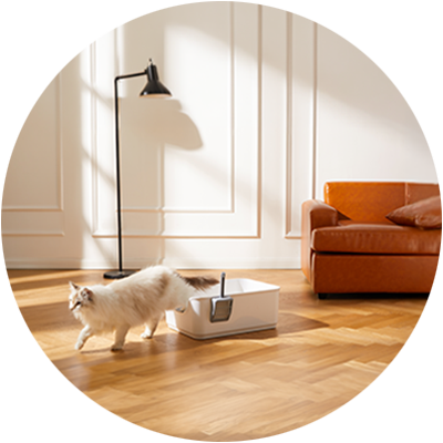 Urination Detection