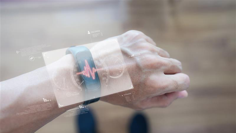 Muscle Signal Interface